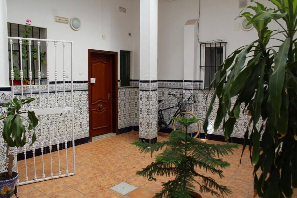 Cdz - Casa De Los Viajeros Pasquin Cádiz Exterior photo